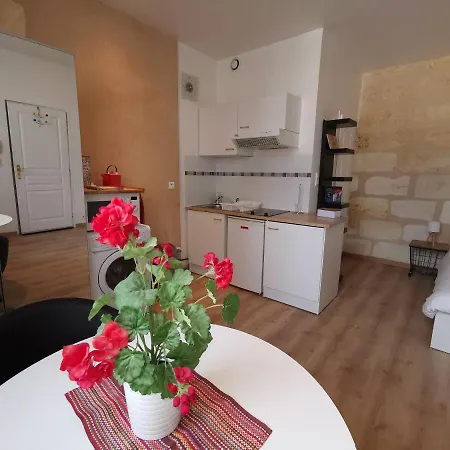 Joli Studio Hypercentre Apartment